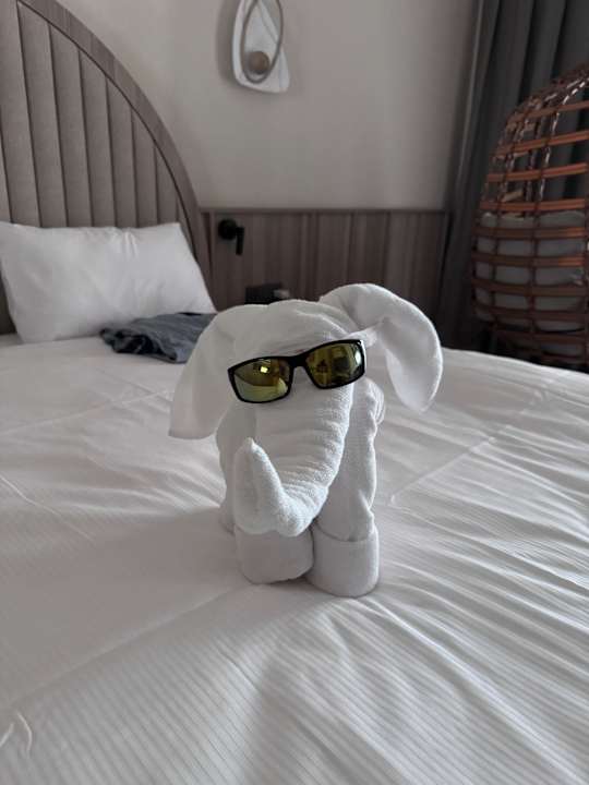 Zimmer Royal Atlantis Icon