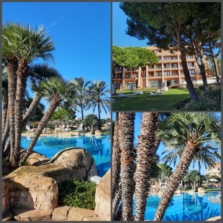 Gartenanlage Hipotels Hipocampo Palace & Spa