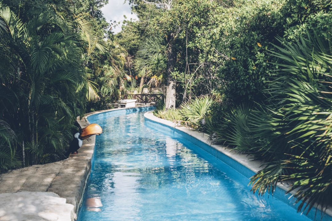 Pool Iberostar Selection Paraiso Maya Suites