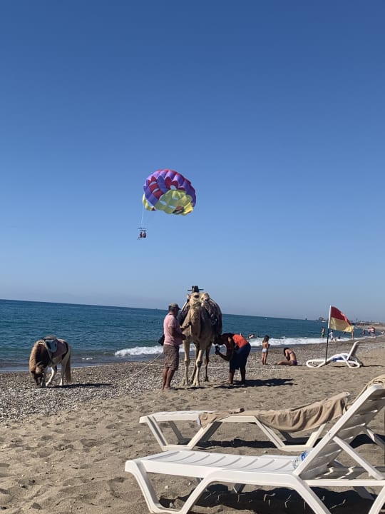 Strand Calimera Serra Palace