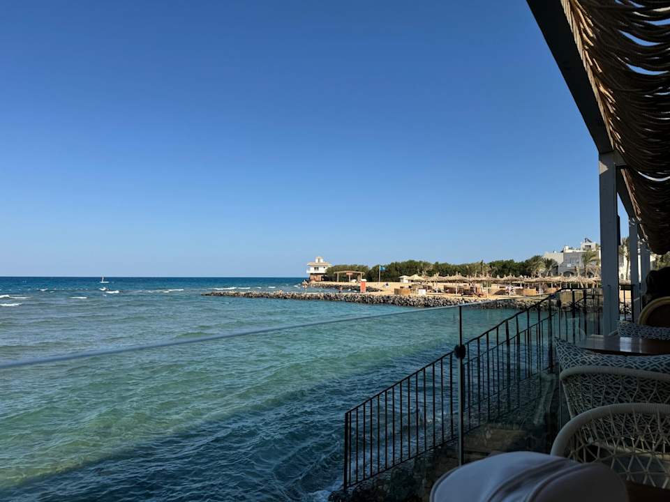 Ausblick Desert Rose