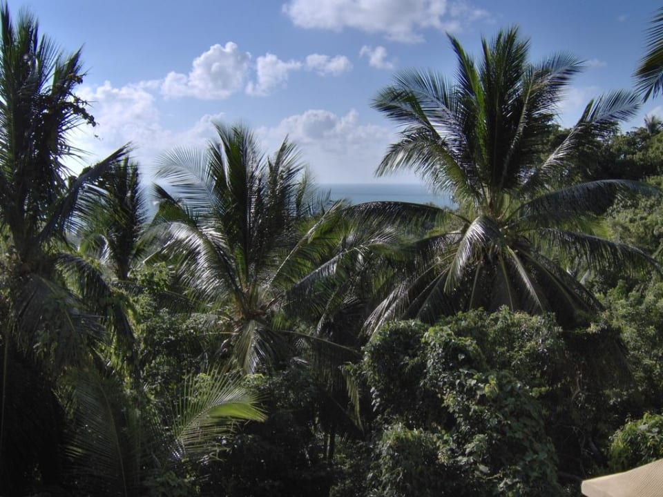 Blick von der Terrasse Knöttgen Appartement's Samui