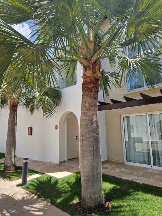 Gartenanlage Dreams Dominicus La Romana