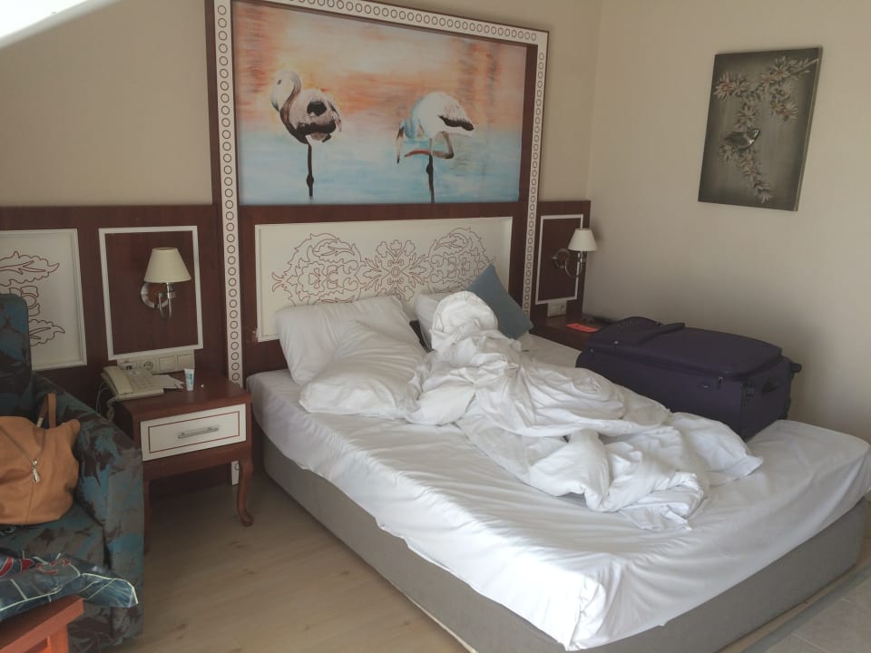 Zimmer Crystal Paraiso Aqua Collection