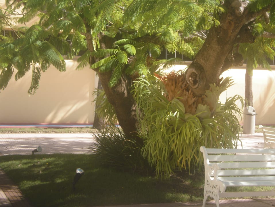 Von Lobby zum pool Puerto Plata Village