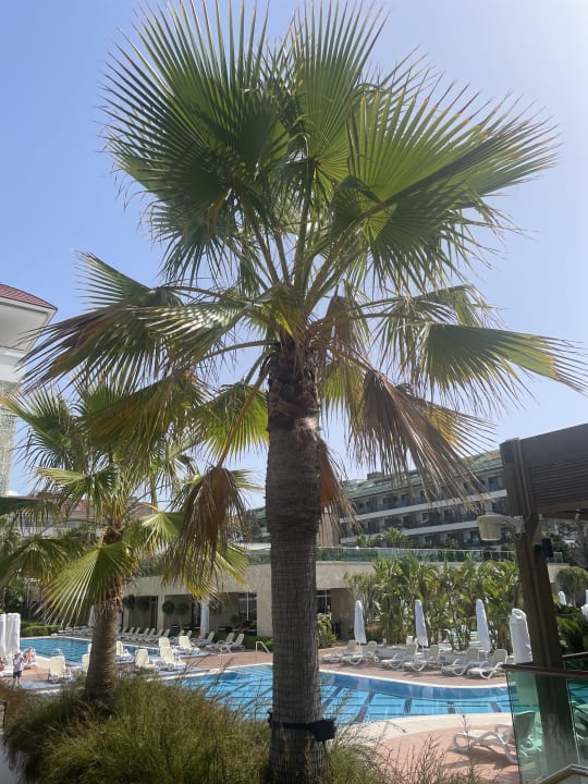 Gartenanlage Sentido Trendy Verbena Beach