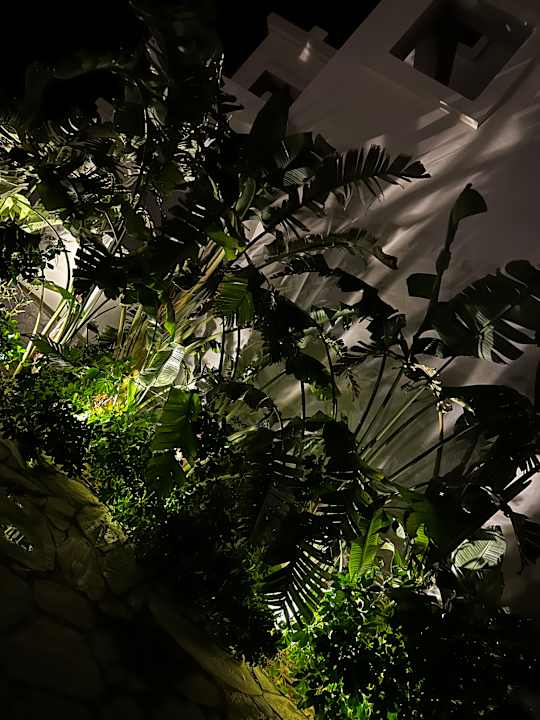 Gartenanlage Serry Beach Resort