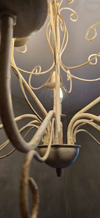 Zimmer Hof Neu Domigk