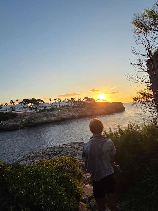 Strand Calimera Fido Gardens