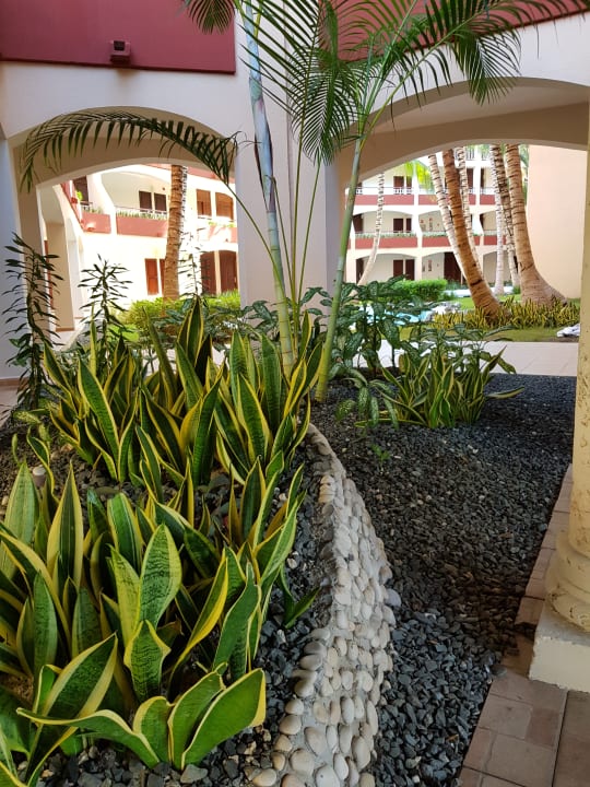 Sonstiges Majestic Elegance Punta Cana