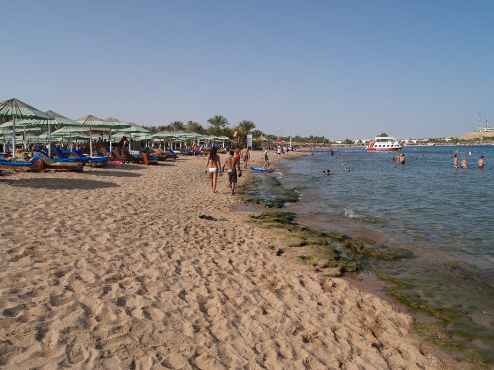 Strand Ghazala Beach