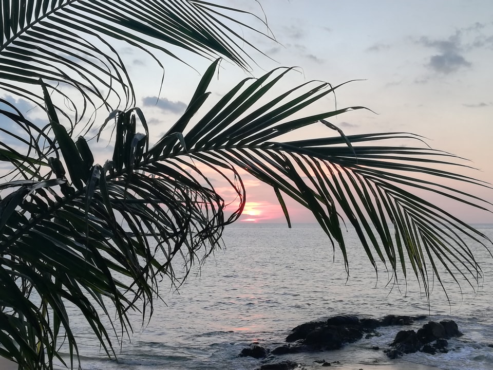 Ausblick The Sands Khao Lak by Katathani