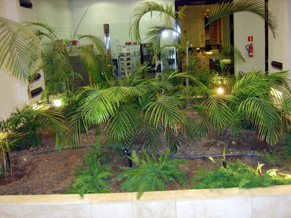 Blumendekoration H10 Estepona Palace