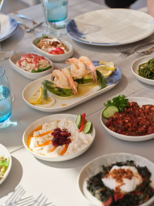 Gastro Anda Barut Collection