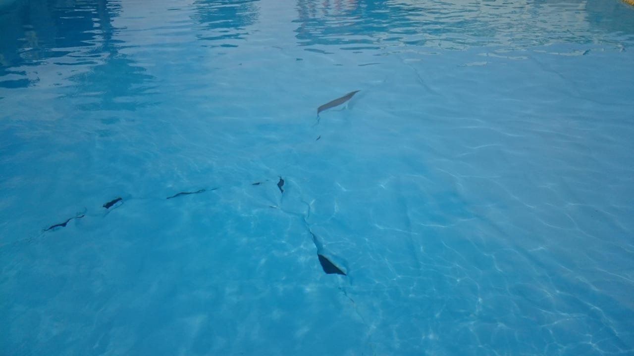 Kaputter Pool Beach Albatros Resort