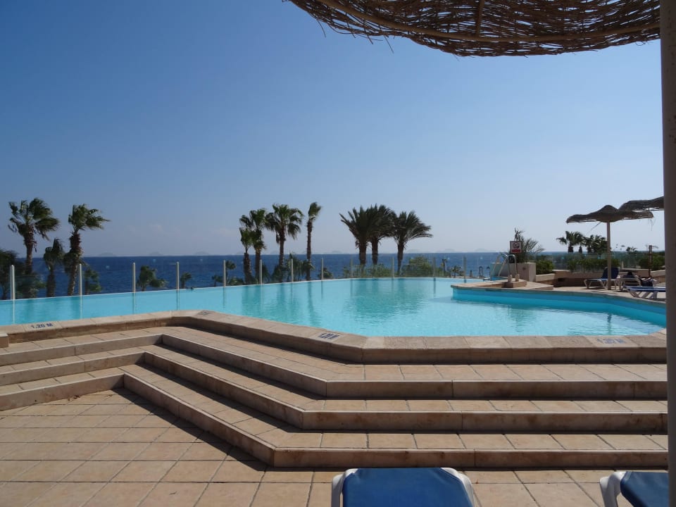 Kleiner Infinitypool Pickalbatros Citadel Resort