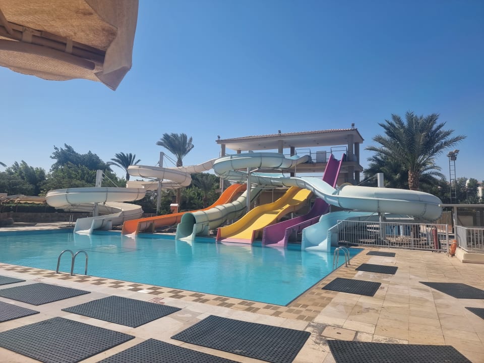 Sport & Freizeit Desert Rose