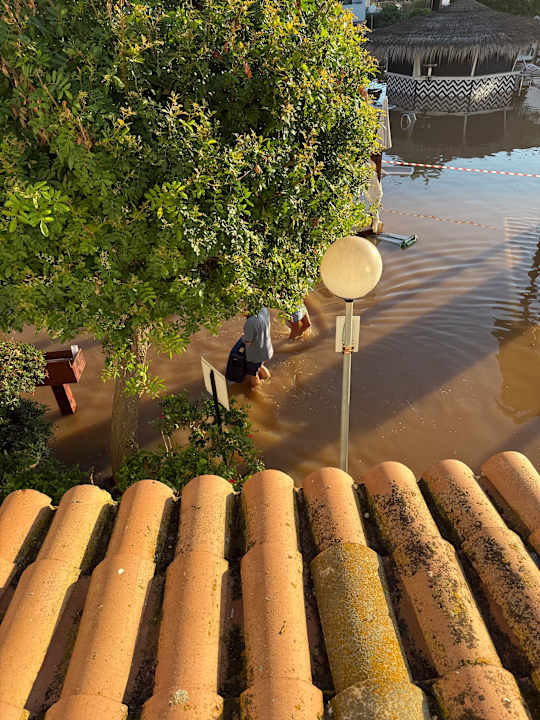 Ausblick FERGUS Style Bahamas