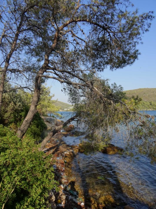 Ausblick Green Bay Resort & Spa