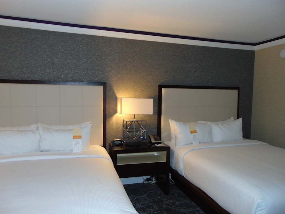 Zimmer Hotel The Henry