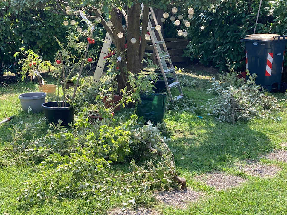 Gartenanlage Testdummy for HolidayCheck Training