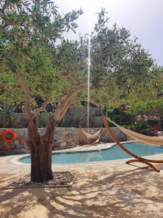 Gartenanlage Paralos Irini Mare