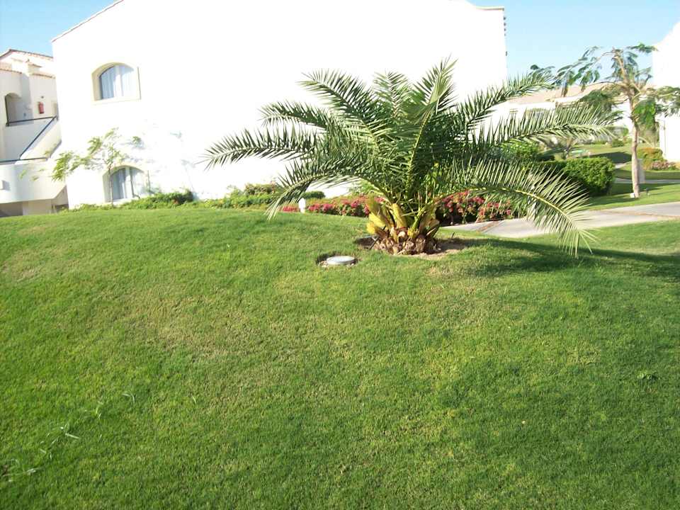 Parkanlage Reef Oasis Blue Bay Resort