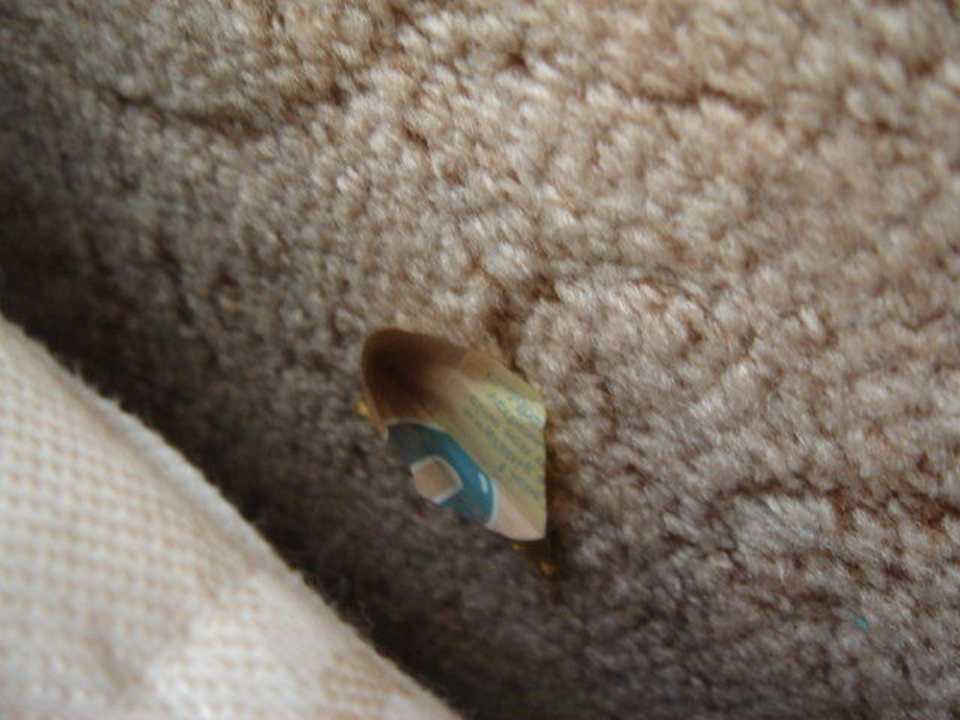 Müll im Zimmer Hotel Mena Palace