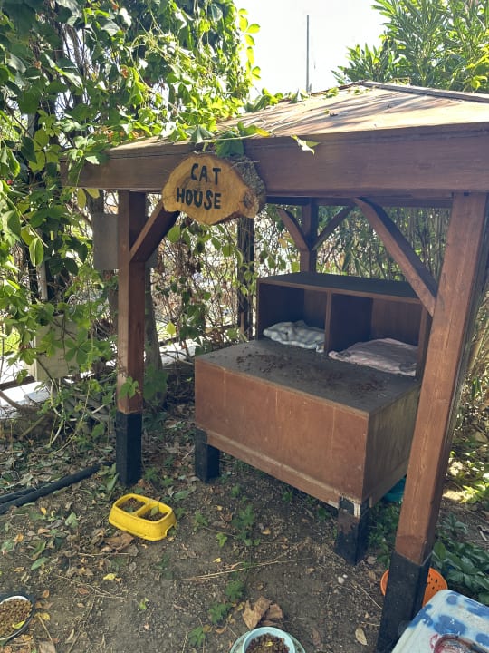 Gartenanlage Side Star Elegance