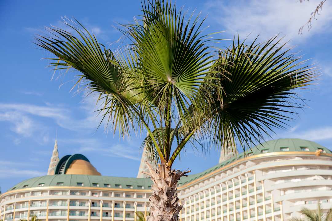 Hotel Hotel Delphin Imperial