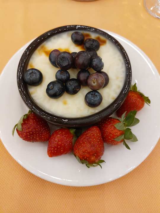 Gastro Seashell Vega