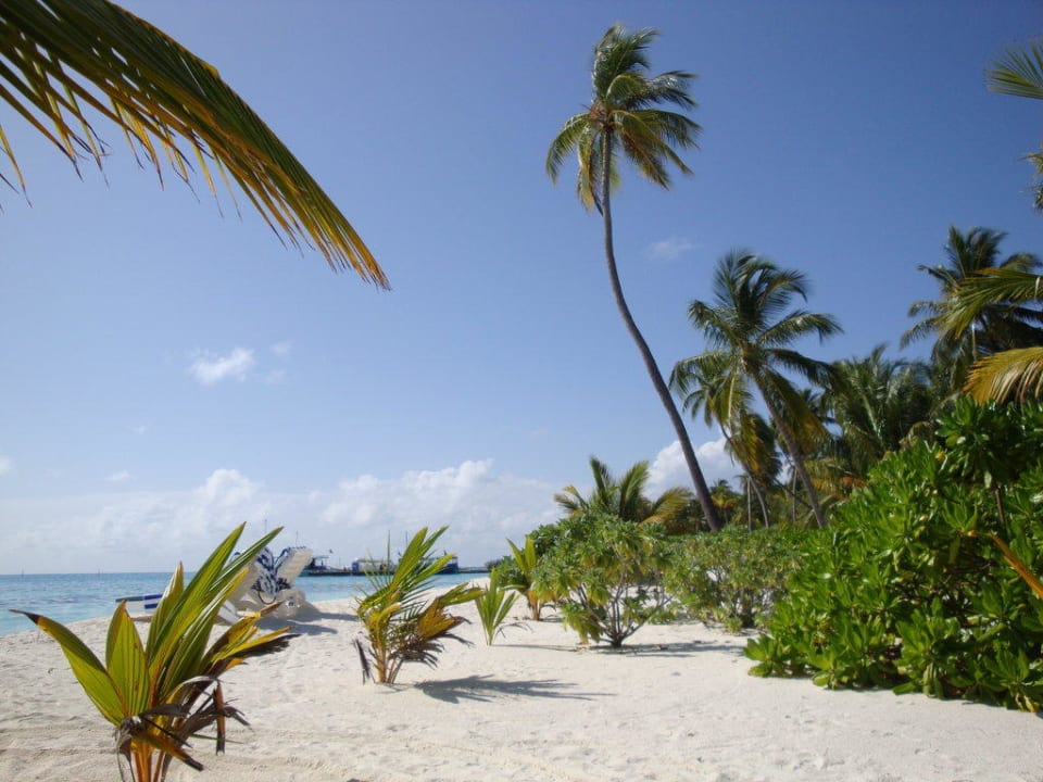 Hotel Meeru Island Resort Meeru Maldives Resort Island