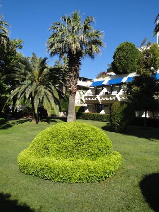 Immer sauber und gepflegt Side Star Elegance