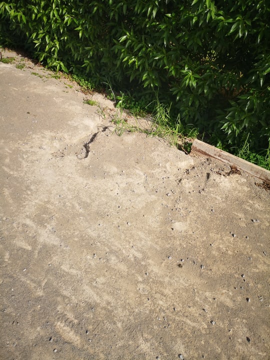 Sport & Freizeit allsun App.-Hotel Orient Beach