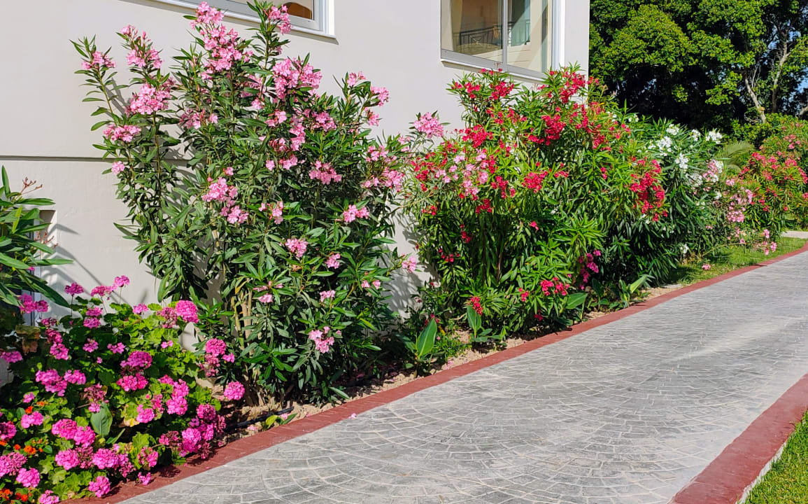 Gartenanlage Myrina Beach Hotel