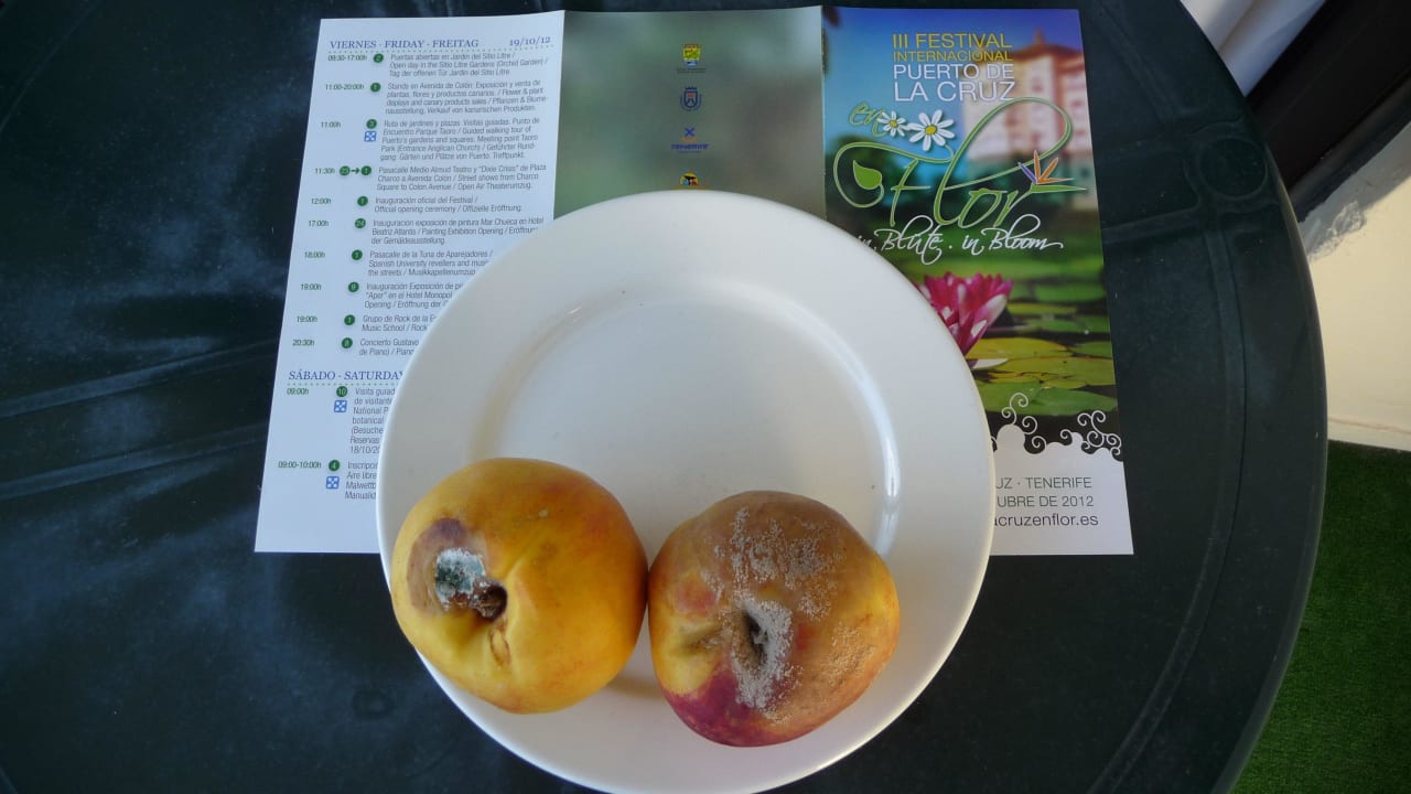 Obst aus dem Begrüßungskorb Hotel ValleMar