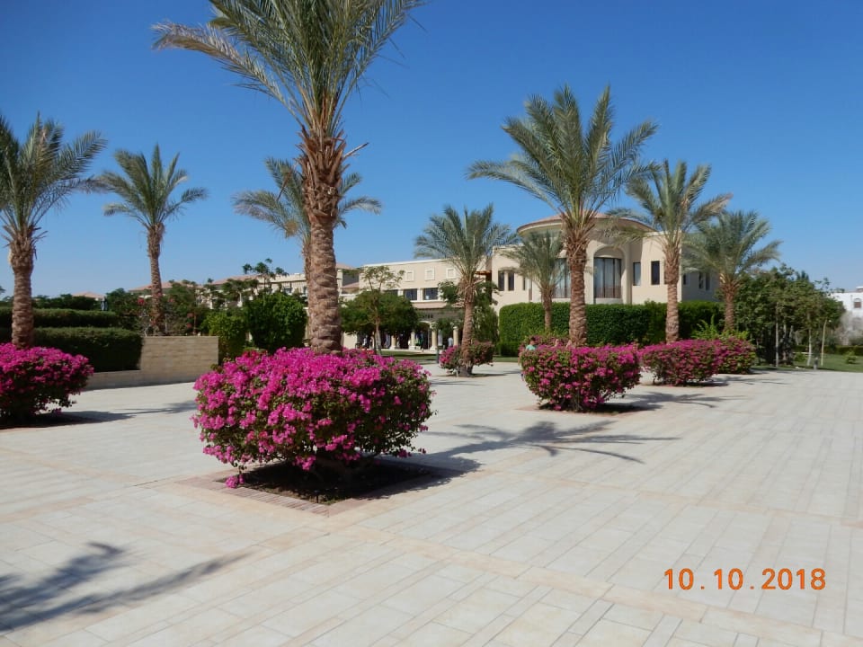 Gartenanlage JAZ Aquamarine Resort