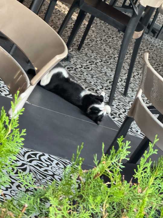 Sport & Freizeit allsun Numa Club Side