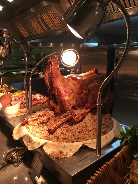 Gastro Royal Seginus