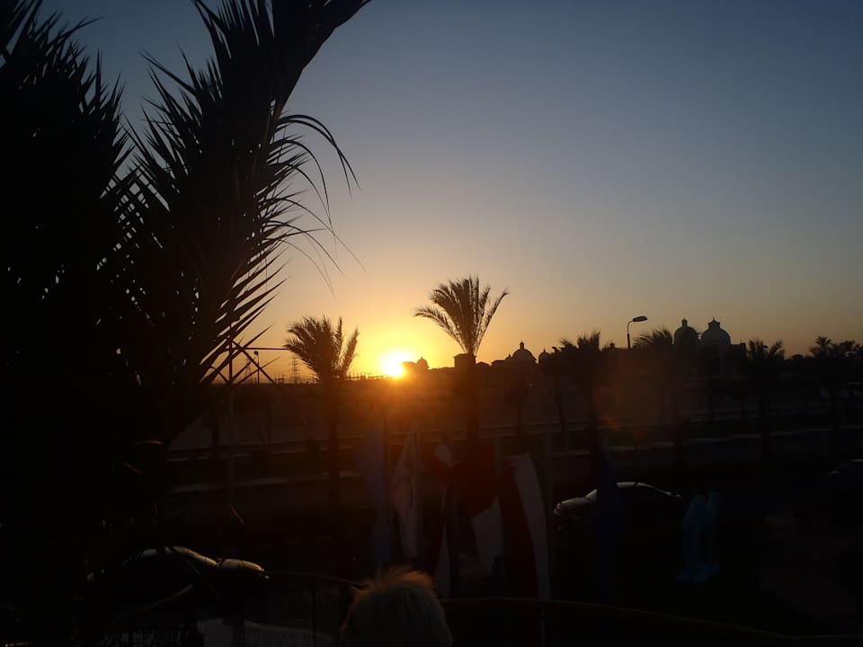 Sonnenuntergang Pickalbatros Palace Resort