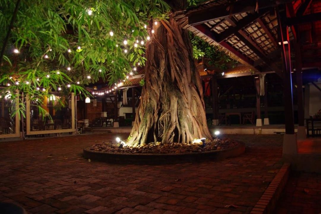 Vorm Hotel Khaolak Oriental Resort - Adults only