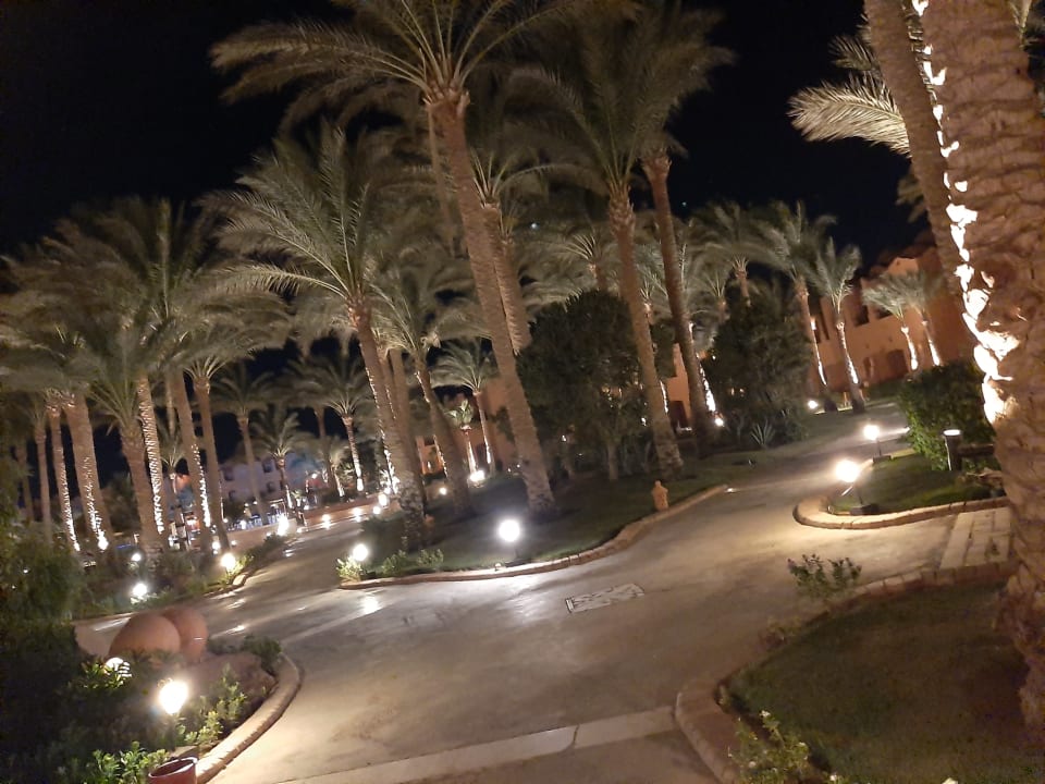 Gartenanlage Jaz Makadi Oasis Resort