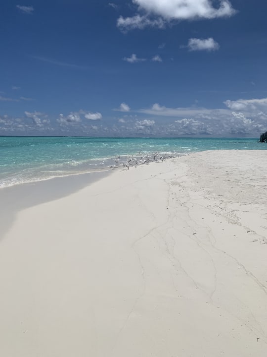 Strand Constance Moofushi Maldives