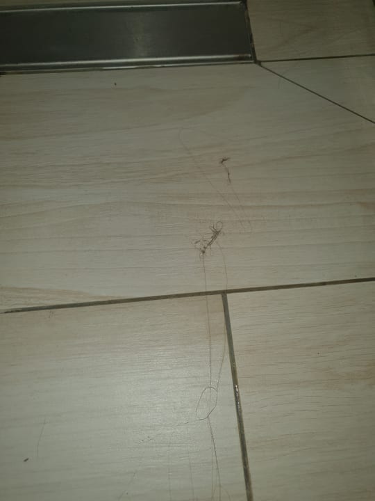 Zimmer Center Parcs Park De Haan