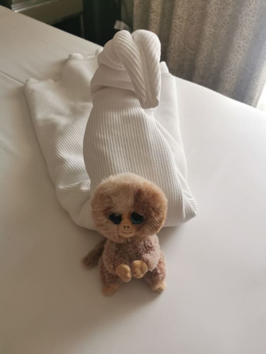 Zimmer Club Grand Aqua