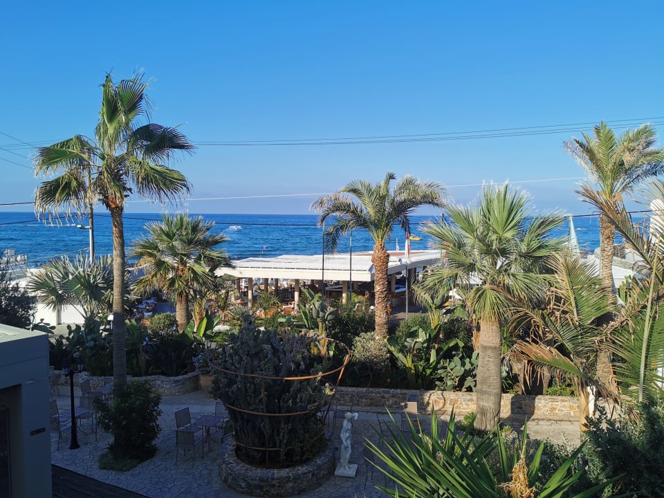 Außenansicht Cactus Beach