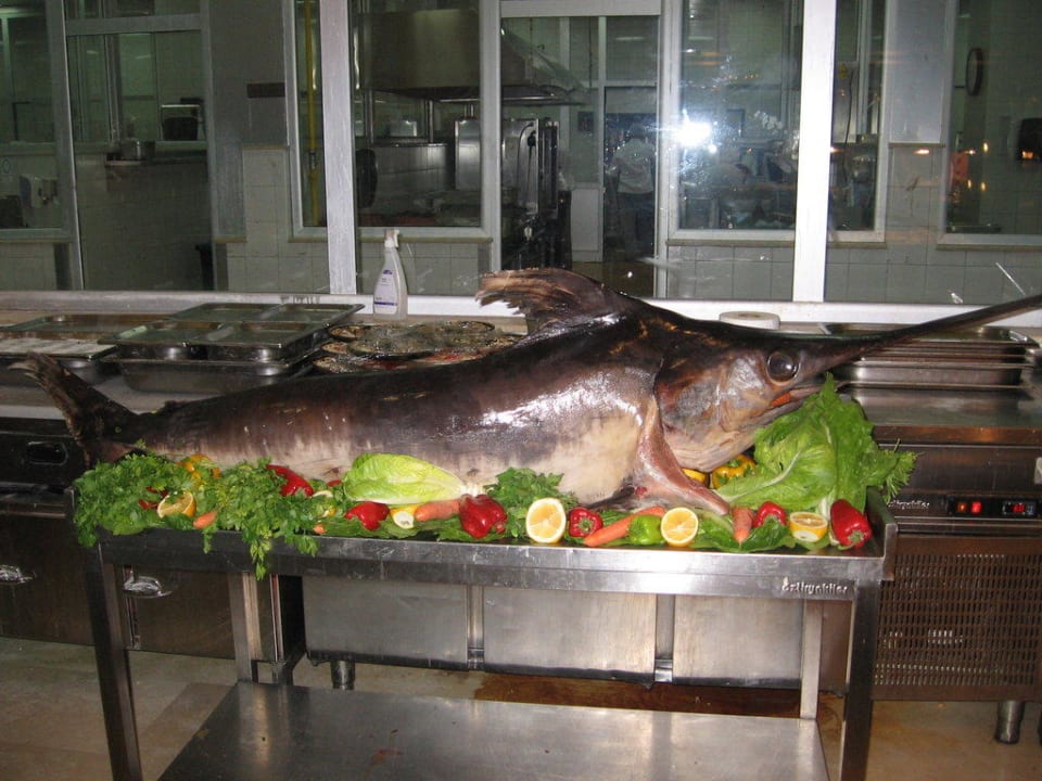 Da gab´s auch große Fische Rixos Premium Belek