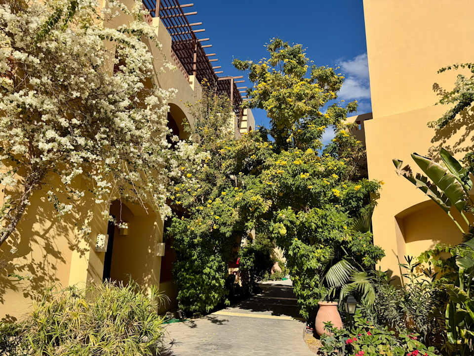 Gartenanlage Steigenberger Coraya Beach - Adults only