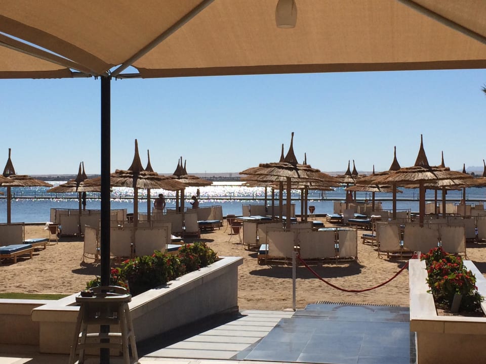 Ausblick vom Restaurant Beach Albatros Resort