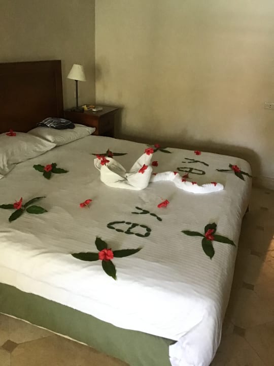 Zimmer Ghazala Gardens